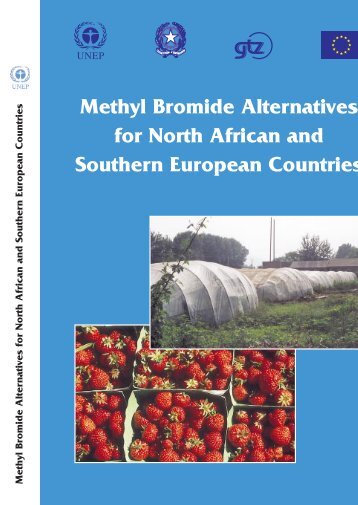 Methyl Bromide Alternatives for North African and Southern ... - DTIE
