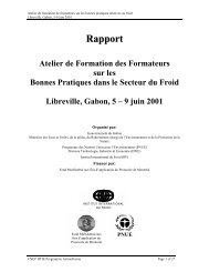 Rapport Atelier de Formation des Formateurs sur les Bonnes ... - DTIE