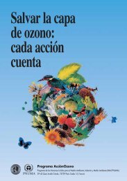 Salvar la capa de ozono