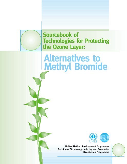 Alternatives to Methyl Bromide - DTIE