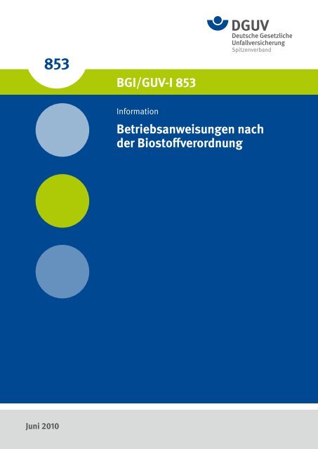 BGI/GUV-I 853 - "Publikationen" der DGUV