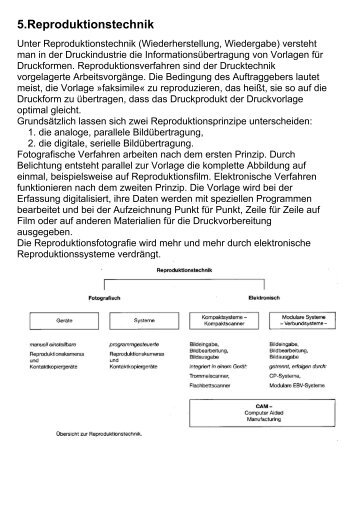 Reproduktionstechnik, CD-ROM und DVD (PDF)