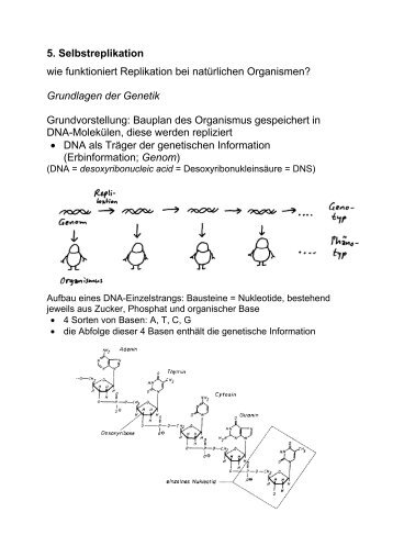 Grundlagen der Genetik