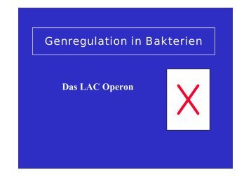 Genregulation in Bakterien