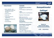 Flyer (pdf) - Georg-August-Universität Göttingen