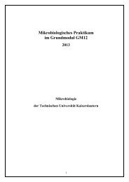 Mikrobiologisches Praktikum im Grundmodul GM12 - Universität ...