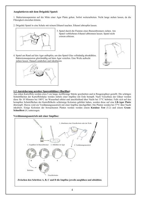 Mikrobiologisches Praktikum im Grundmodul GM12 - Universität ...