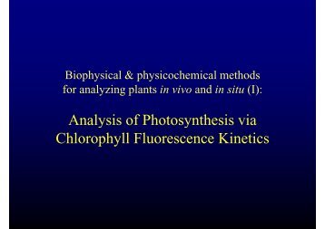 Chlorophyll fluorescence kinetics and biophysics of photosynthesis