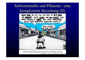 Schwermetalle und Pflanzen - eine komplizierte Beziehung (II)