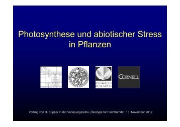 Photosynthese und abiotischer Stress Photosynthese und ...