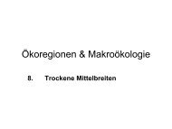 Ökoregionen & Makroökologie