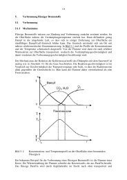 5. Verbrennung flÃ¼ssiger Brennstoffe 5.1 Verbrennung 5.1.1 ...