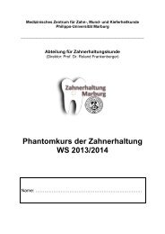 Kursskript WS 2013/2014 - Philipps-Universität Marburg