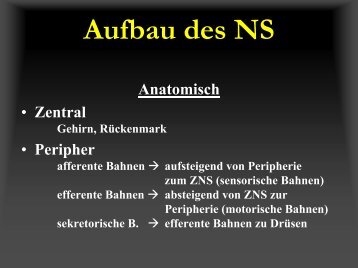 Aufbau des NS