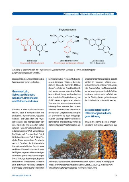 Ausgabe1/2013 - UniversitÃ¤t Rostock