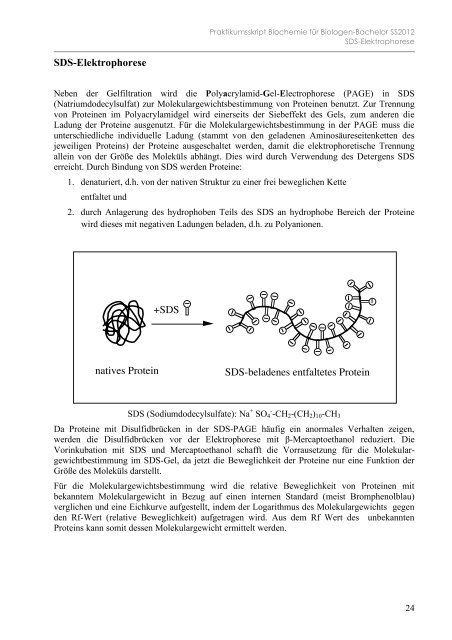 Biochemie Praktikum I