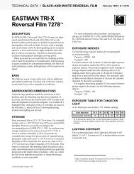 EASTMAN TRI-X Reversal Film 7278â¢ - super8 reversal lab