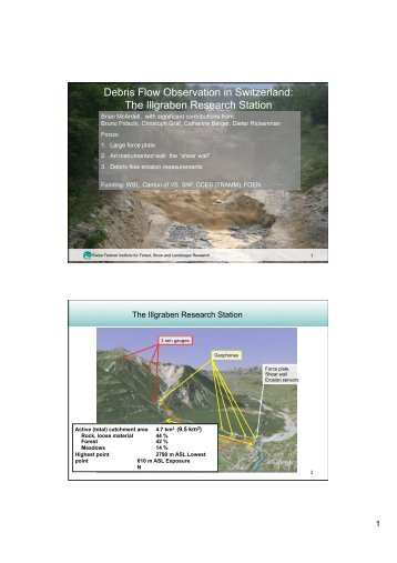 Debris-flow monitoring in Switzerland