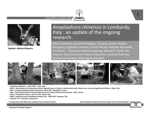 1 Anoplophora chinensis in Lombardy, Italy : an update of the ...