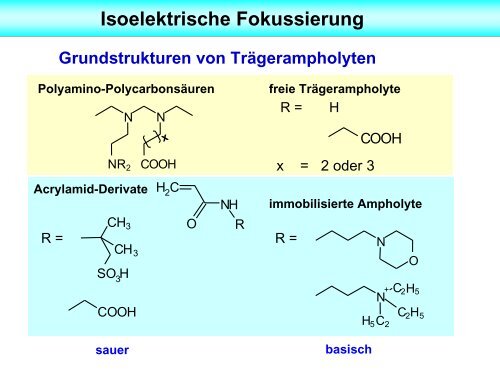 Elektrophorese - Unics.uni-hannover.de - Leibniz UniversitÃ¤t ...