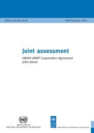 Joint assessment - Unido