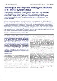 Homozygous and compound heterozygous mutations at ... - Unifesp