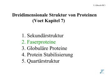 Dreidimensionale Struktur von Proteinen (Voet Kapitel 7)