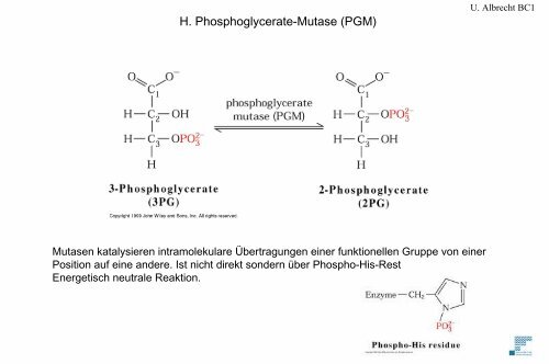 Glykolyse