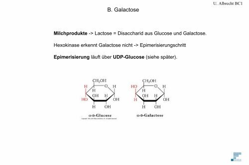 Glykolyse