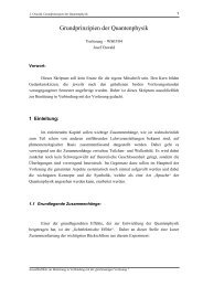 Grundprinzipien der Quantenphysik