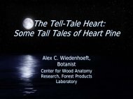 The Tell-Tale Heart: Some Tall Tales of Heart Pine