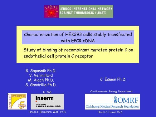 Characterization of HEK293 Cells Stably Transfected with EPCR ...