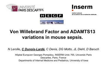 Von Willebrand Factor and ADAMTS13 variations in mouse sepsis.