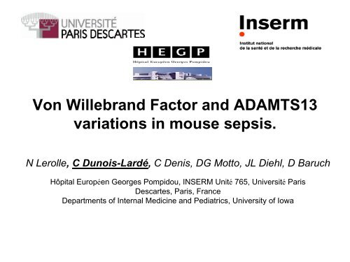 Von Willebrand Factor and ADAMTS13 variations in mouse sepsis.
