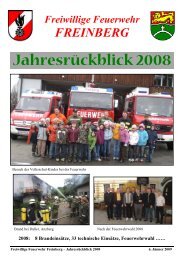 Jahresrückblick 2008 - in Freinberg