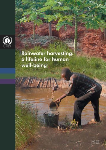 Rainwater harvesting: a lifeline for human well-being - SIFI