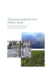Tilting forest industries from North to South - SIFI