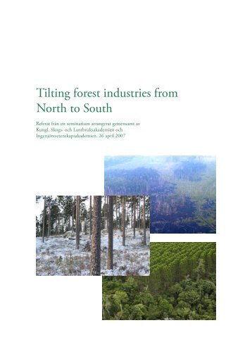 Tilting forest industries from North to South - SIFI