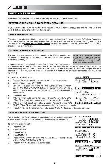 Alesis DM10 Manual - American Musical Supply