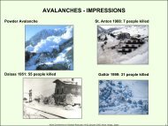 AVALANCHES - IMPRESSIONS - unisdr