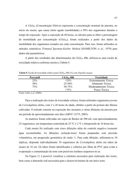 DissertaÃ§Ã£o Tamara Bianca Horn - Unisc