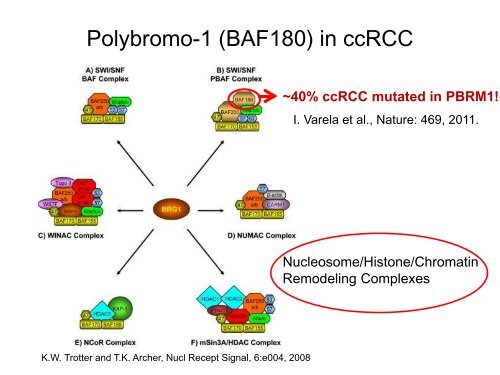 UROTHELIAL CARCINOMA