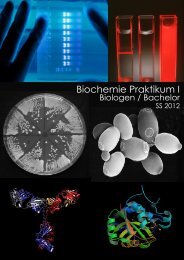 Biochemie Praktikum I