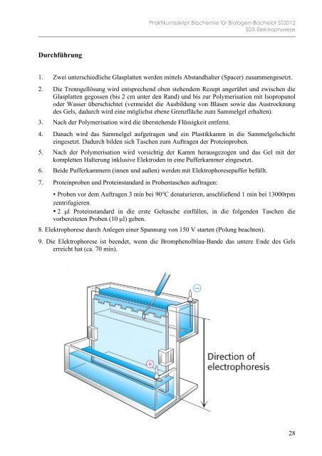 Biochemie Praktikum I