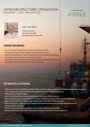 OFFSHORE STRUCTURES OPTIMIZATION - Project Executive Group