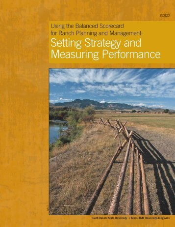 Using the Balanced Scorecard for Ranch Planning and Marketing ...