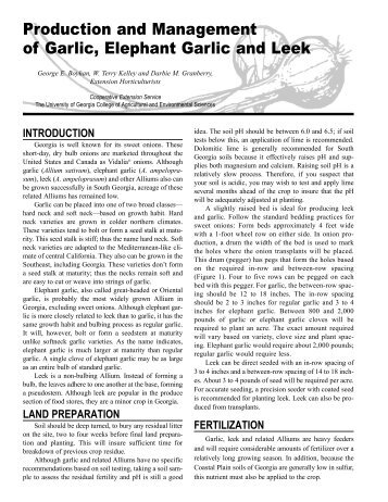 Production and Managements of Garlic, Elephant Garlic and Leek