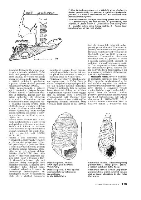 Pastva v NPR MohelenskÃ¡ hadcovÃ¡ step