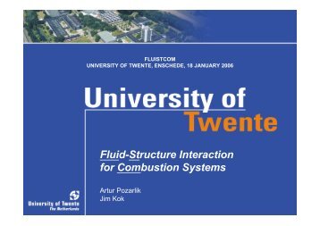 Fluid-Structure Interaction for Combustion Systems - cerfacs
