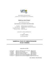 THESE de DOCTORAT - cerfacs